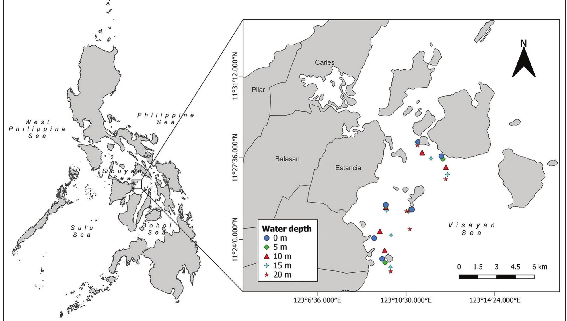 Visayan Mp Map of the philippines showing the province of iloilo,
