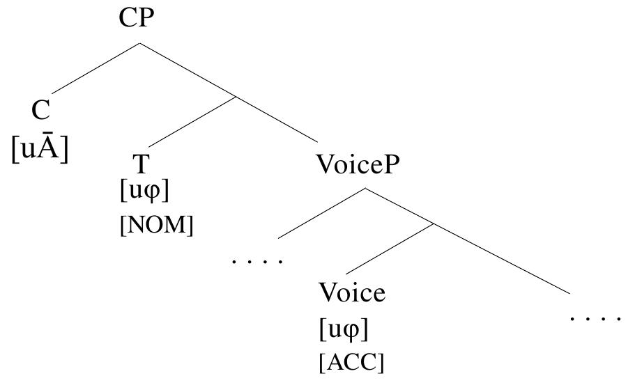 5) Proposal: the make-up of the Austronesian-type voice system  Building on a family of recent A-approaches to Philippine-type voice (Shibatani 1998; Pearson 2001, 2005; Richards 2000; Chen 2017, 2021), I propose that this seemingly complex pattern can be captured via a simple and unified analysis, schematized below in (15). This proposal assumes an  accusative case system and obligatory A- (topic) agreement in each finite clause, in line with existing works cited above. 