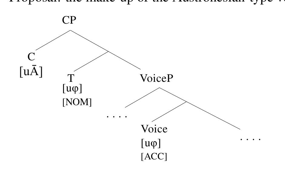 Evidence for the presence of a subject/nominative position comes from the distribution of the case- marking labeled as NOM — which displays a hallmark of structural nominative case: its distribution is not tied to the external argument position. As seen below, NOM can appear either on the external argument in unergatives/transitives or the internal argument in unaccusatives, as in (30)-(31). This indicates this marker does not realize inherent ergative case (contra the ergative analysis of these languages), which is assigned only to external arguments along with 6-licensing.  hosts a ¢-probe, which agrees with the highest DP per clause, triggering abstract subject agreement. I label this head as T and assumes that Agree with this head is accompanied by nominative Case assignment and movement to [Spec, TP]. 