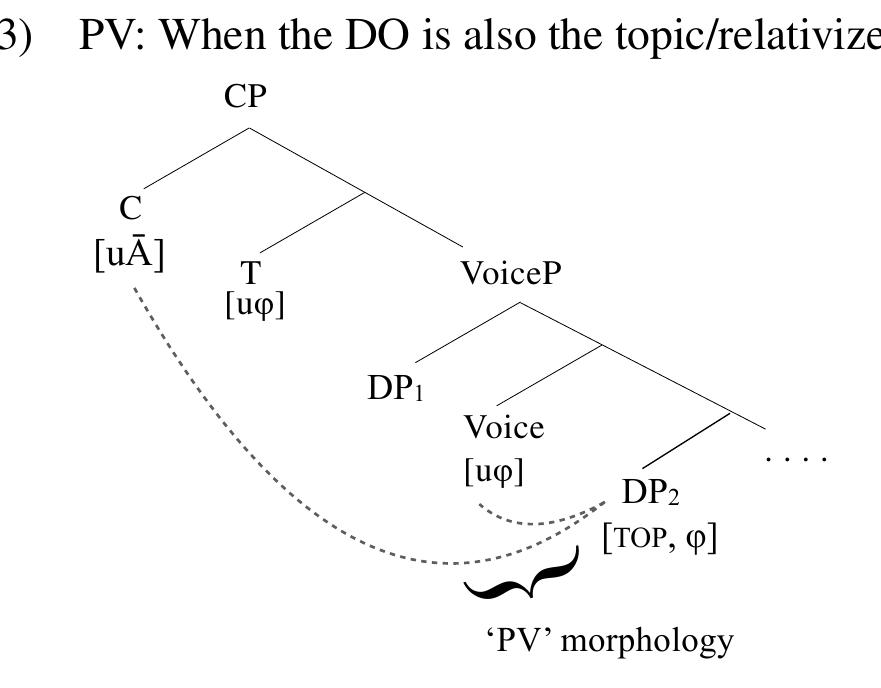 The fact that some some Philippine-type languages exhibit overt ¢-feature agreement with the direct object lends further empirical support to this assumption. See section 5.2 for details.  Assuming PV morphology’s shared distribution with object agreement is not a coincidence, I  argue that PV morphology is best analyzed as the parallel chain relations under Agree with both [uA] and [u@] on Voice/v, which drives abstract object agreement. In other words, where the direct object  of a clause is also the pivot, PV morphology appears to index the two Agree relations probing that object. This analysis is illustrated in (43). 