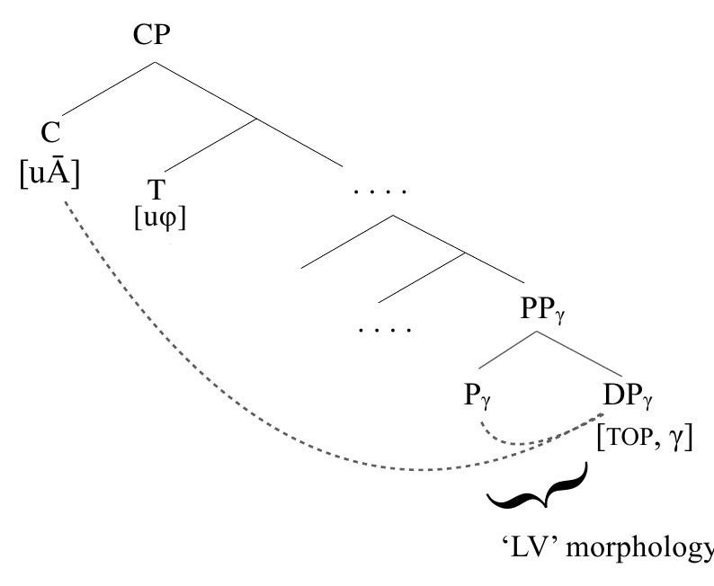 (45) LV: When the locative phrase is also the topic 