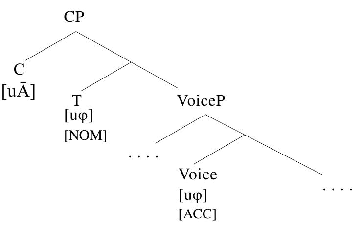 64) Proposal: the make-up of the Austronesian-type voice system  Both predictions are attested in the target languages. Dinka demonstrates a case where the topic- indexing voice morphology co-occurs with @-feature agreement with the grammatical subject (e.g. a- ‘third-person singular subject’), as in (65). 