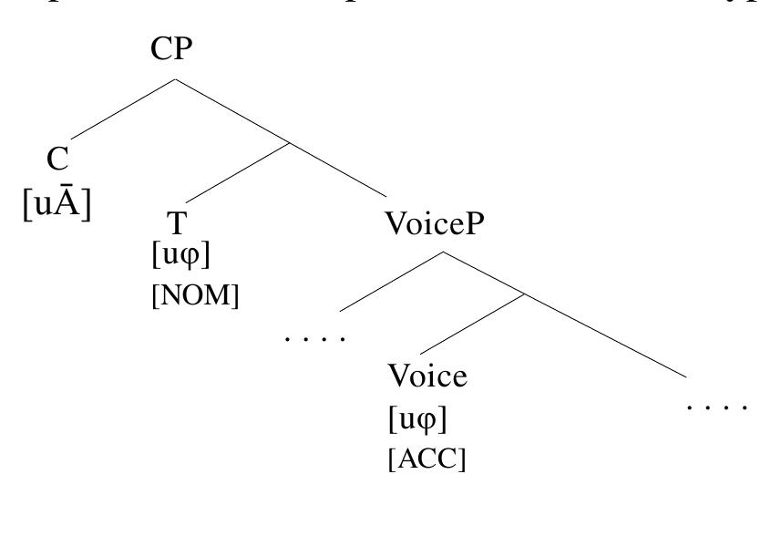 5.4 Implications and remaining questions  To conclude, the possible co-occurrence of g-feature agreement with the topic, subject, and direct bject in these languages reinforces the current proposal that the Austronesian-type voice system is lade up of three types of abstract Agree relations: Agree with [uA] and Agree with the ¢-probe on  (subject agreement) and on the matrix Voice (object agreement) (75). The attested variation in the resence or absence of these three sets of o-feature agreement in Philippine-type languages further inforces our current understanding that morphological agreement is a possible but not necessary ‘alization after Agree.  I have proposed that what is known as ‘Austronesian-style voice’ or ‘wh-agreement’ is best analyzed as the morphological reflex of different parallel chains targeting one and the same goal — where an A- and an A-probe probe the same phrase. The fact that such verbal inflections may co-occur with o-feature agreement with the goal suggests that these affixes are distinct from ¢-feature agreement, rather than manifesting a special type of ¢-feature agreement (e.g. case agreement).  as the morphological reflex of different parallel chains targeting one and the same goal — where an 