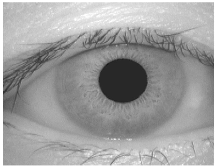 A sample image of an eye with different parts defined the