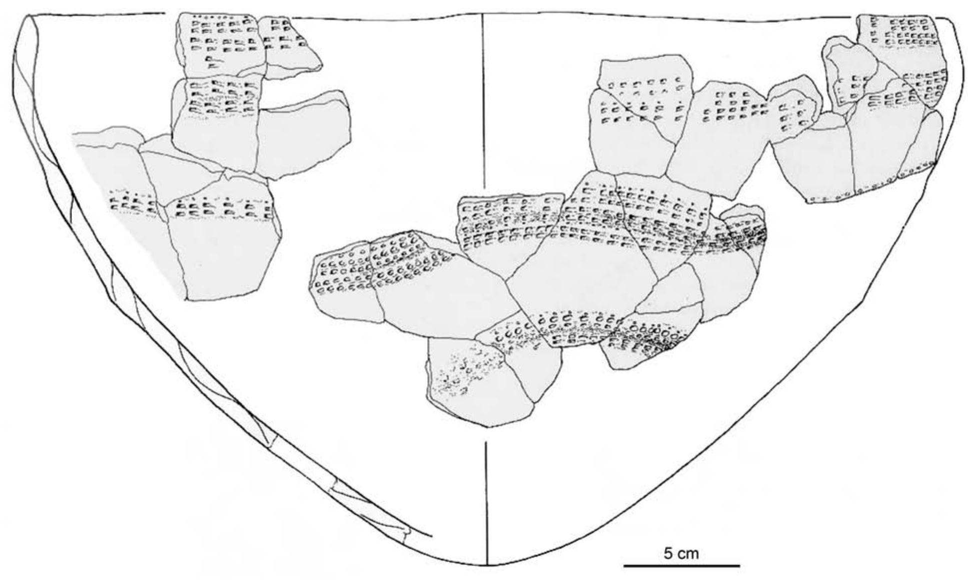 Fig.6 The La Hoguette vessel from Choisey. This site lies outside the LBK distribution, but similar vessels have been found throughout the La Hoguette area (after PETREquin et al. 2009, fig. 3; reproduced with kind permission of P. Pétrequin).  could be a further argument for ‘Mesolithic’ survivors. At Cuiry-lés-Chaudardes, shorter houses are correlated with a higher incidence of hunted animals, notably wild boar, while longer houses are associated with the herding of caprines or cattle. This distinction per- sists over several generations; interestingly, the shorter houses also have fewer cereal grinding stones, but a wider range of technological choices in pottery pro- duction (Gomarrt et al. 2015; HACHEM 2018). They are thus overall somewhat less conformist. However, it is also evident that herding of domesticated animals and agriculture did play a substantial role in all houses, and he analysts explicitly reject the idea that there may be ‘Mesolithic’ residents at Cuiry. Instead, they point to he importance of various animal species in negotiat- ing group, age or gender identity within the LBK itself Gomanrt et al. 2015, 244-45; HacHEM 2018). Again, hen, it seems impossible to attach a straightforward ‘Mesolithic’ label to any axis of variation.   2020; 2021; cf. also Cz1EsLA this volume),’ but it al- ready seems possible that the makers of both LBK and non-LBK pottery styles might have lived side by  side in the same settlements (Fig. 7), with  non-LBK  wares particularly frequent around some houses (e.g. GOMART/ BURNEZ-LANOTTE 2012; MALETSCHEK 2010).  Yet the fate of non-LBK ceramics also diff time. Initially, co-existence was short-lived east of the Rhine, such pottery is limited LBK sites and quickly disappears. In con  ered over : in areas o Earliest rast, west  of the Rhine it remains present throughout the LBK  sequence, diversifying over time and poten  ially even  contributing some technological innovations to LBK pottery making, such as the use of new tempers (HOF-  MANN 2016b; KIRSCHNECK 2020; 2021). 