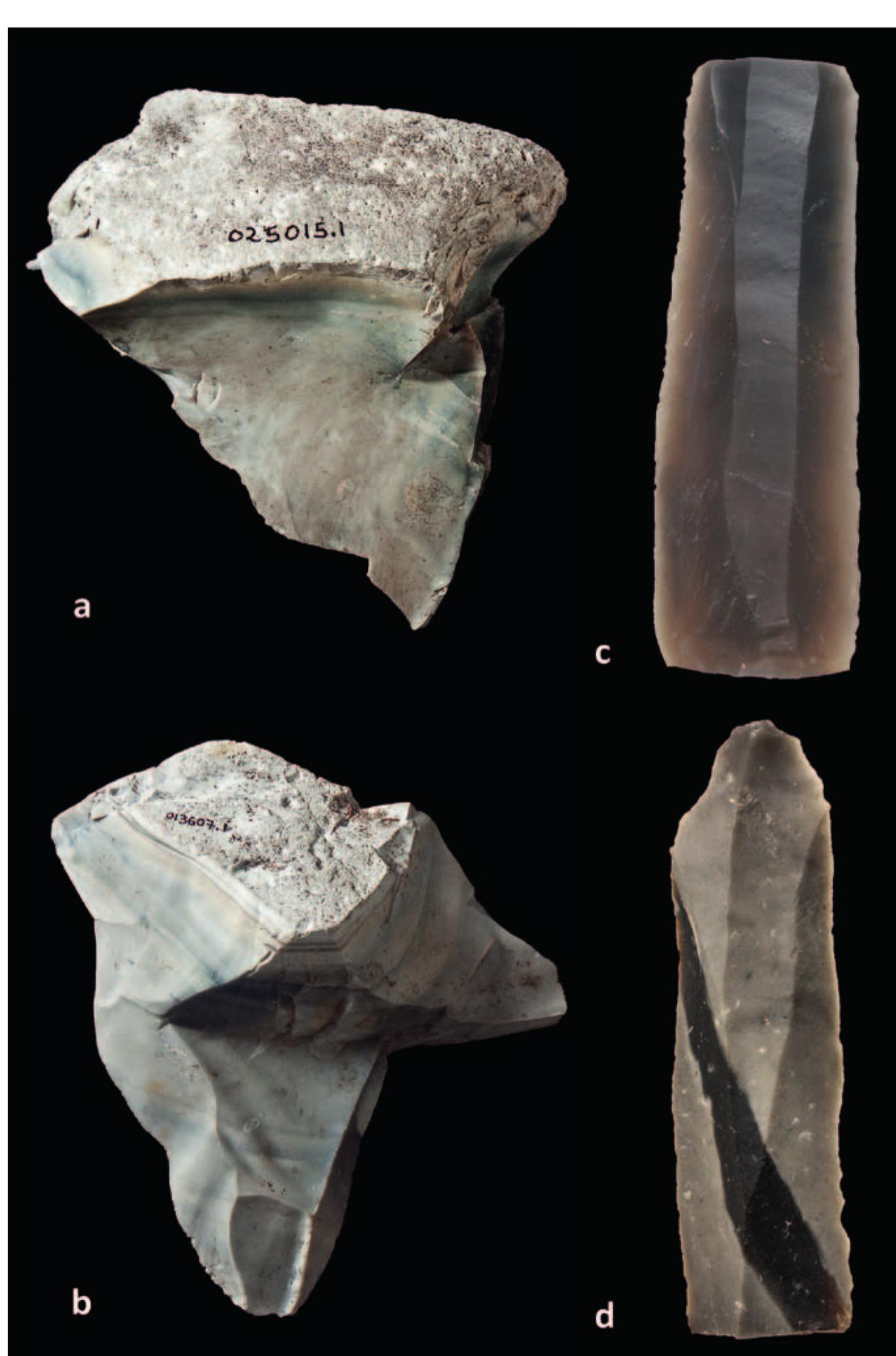 Typically, the occurrence of isolated ‘Neolithic artefacts’ at ‘Mesolithic sites’ - notably at Hardinxveld- Giessendam De Bruin, Swifterbant, and a range of Mesolithic sites with containing incidental ‘Michels- berg items’ — is easily interpreted in terms of contact between Neolithic farmers and hunter-gatherers (VER- HART 2000; LouwWE KooyMans 2001). Isolated ‘Meso- ithic artefacts’ at ‘Neolithic sites’, however, are mostly interpreted as background noise, merely representing scraps of earlier occupations. Why could such finds, both on Mesolithic and Neolithic sites (Fig. 10), not echo established social relationships, which might very well have developed variable forms of cultural coexistence?  