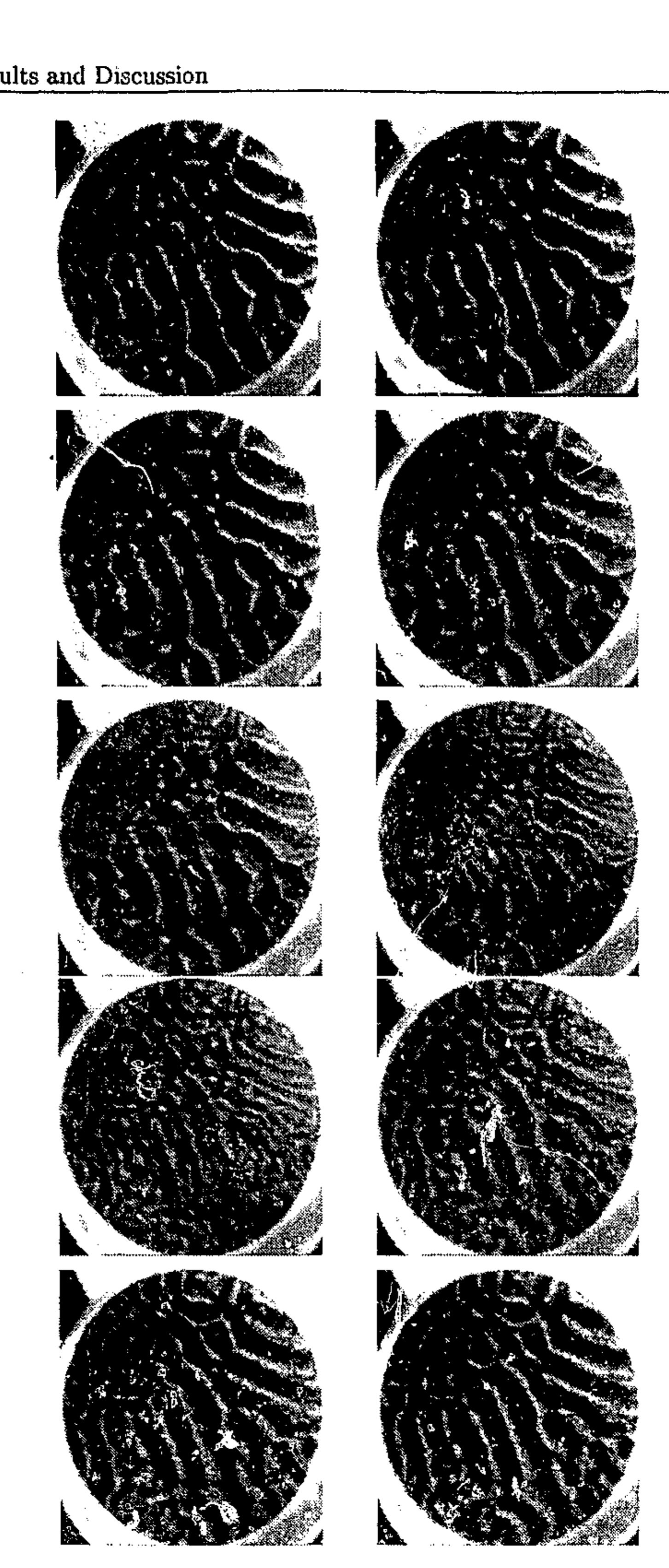 11: sequence of high speed images showing pattern