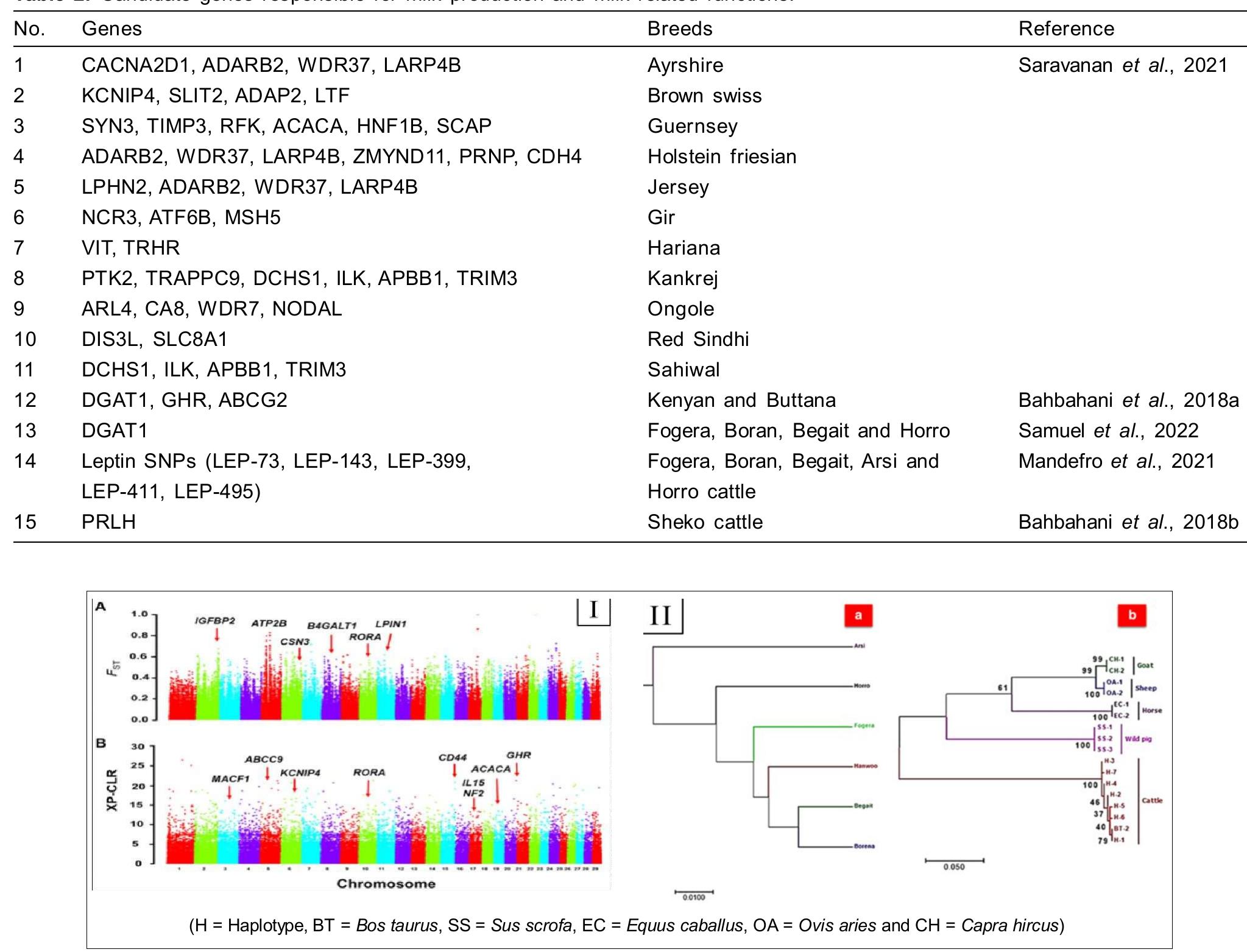 Figure 1 - from Genetic Diversity and Selection Signatures