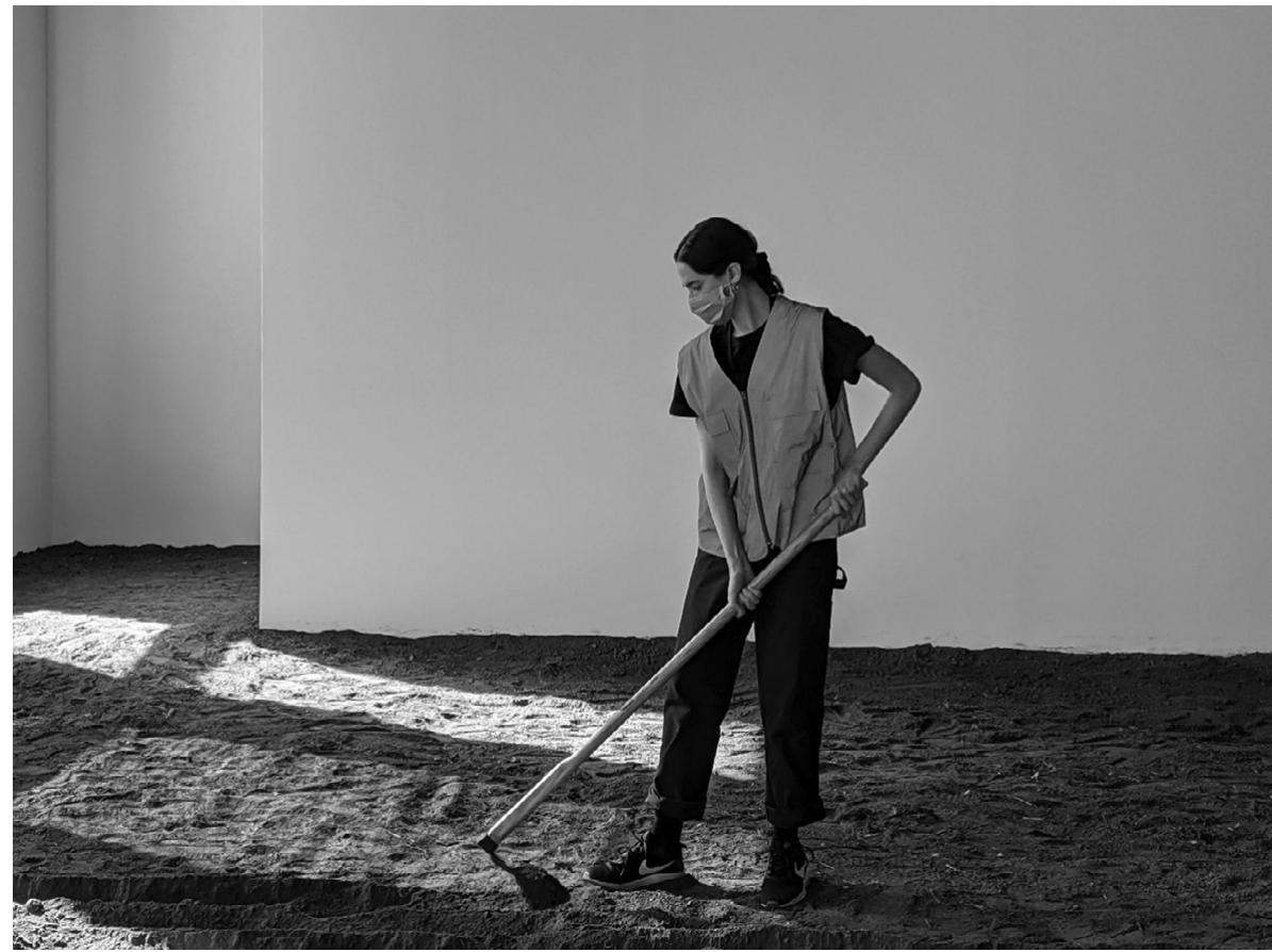 創作人形・ウーマンドレイクの標本「同じ土の記憶（Shared Soil