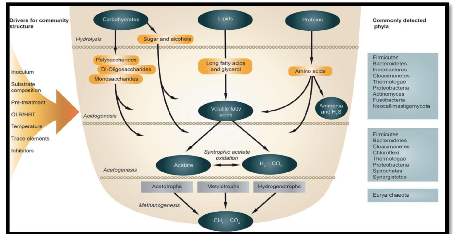 Figure 1 - from Biogas: An Alternative Source of Energy for