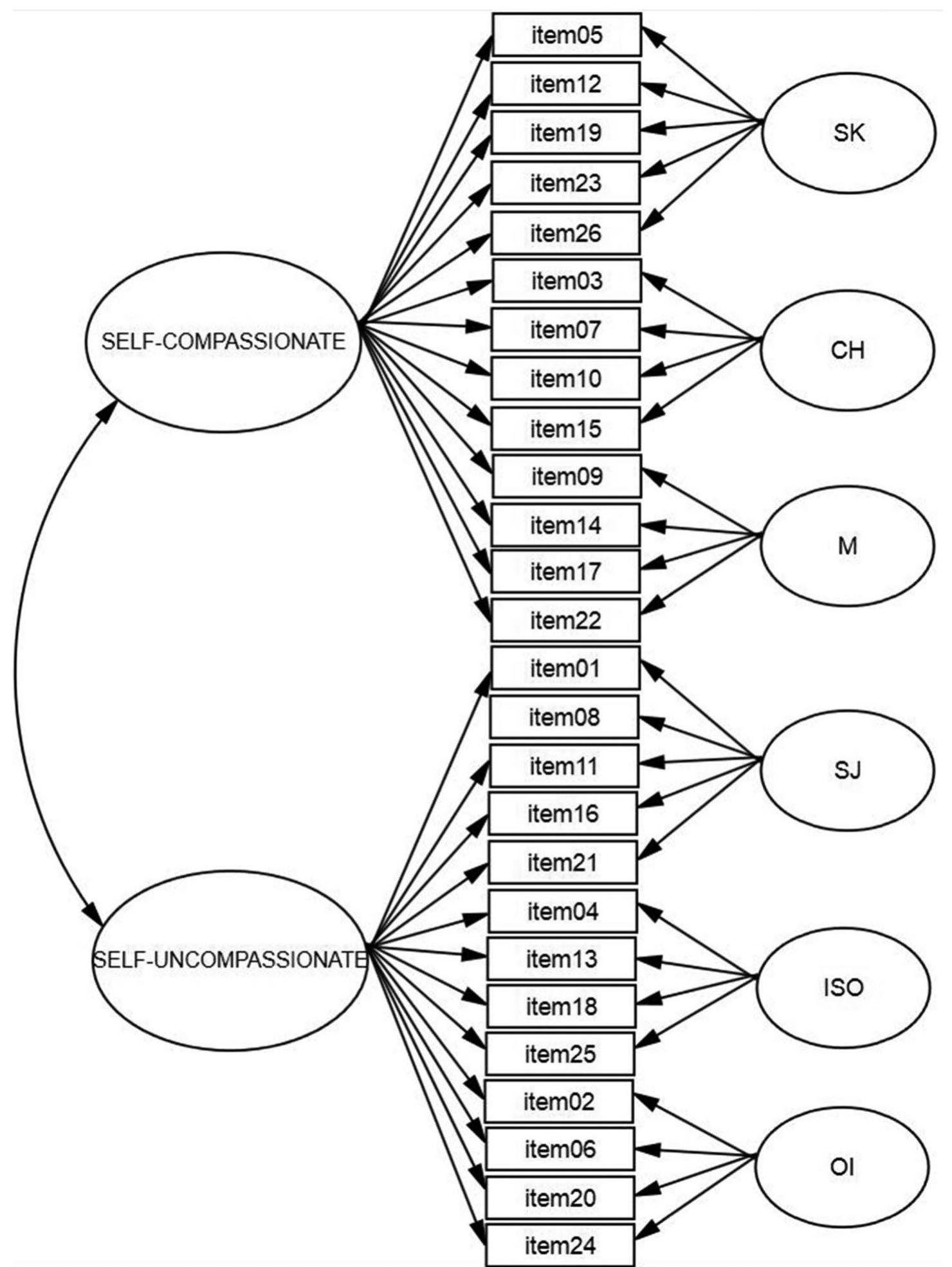 Scs Scale (PDF) Factor Structure of the Self-Compassion Scale in 11 International ...
