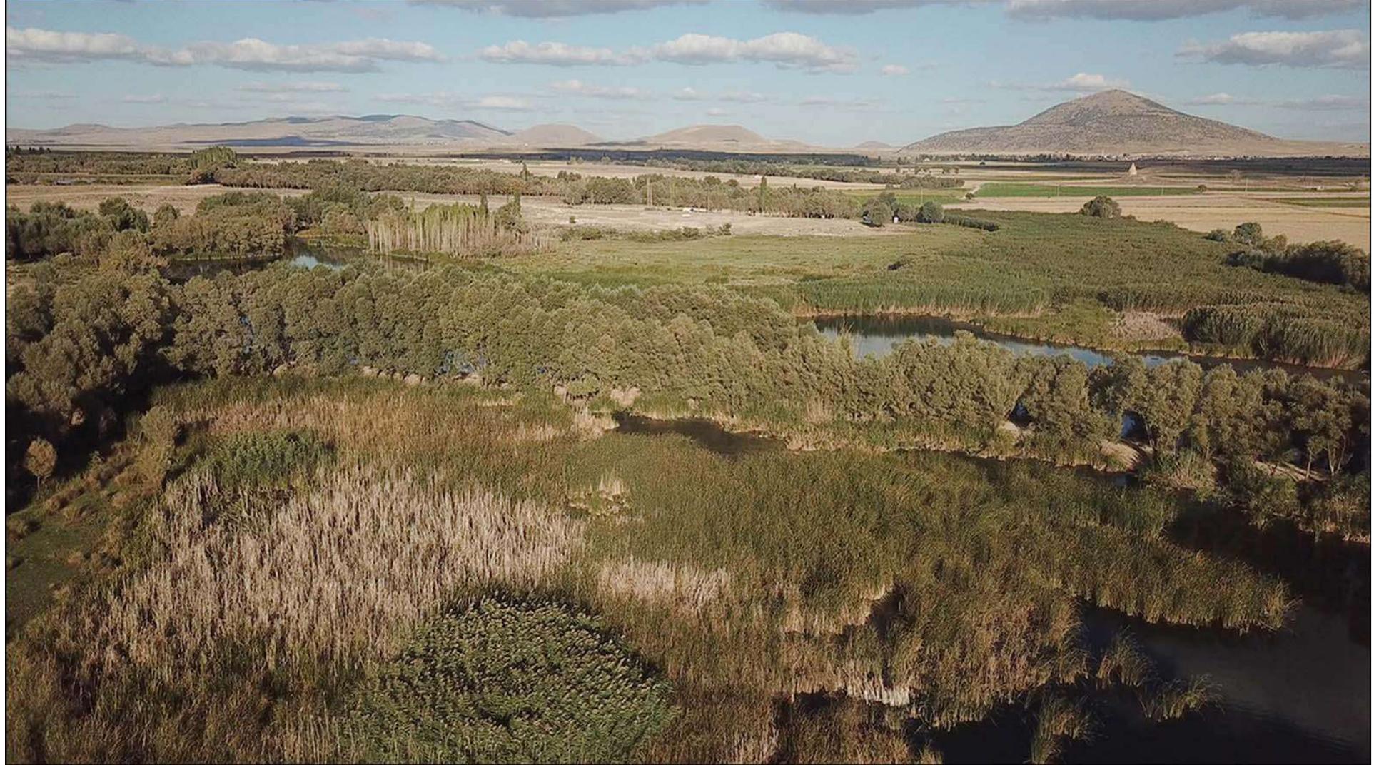 Figure 2. Aerial view of Balkh (upper-middle, lighter-coloured area) among wetlands and Nenezidag (righ background) (photograph by Balikl research project). 