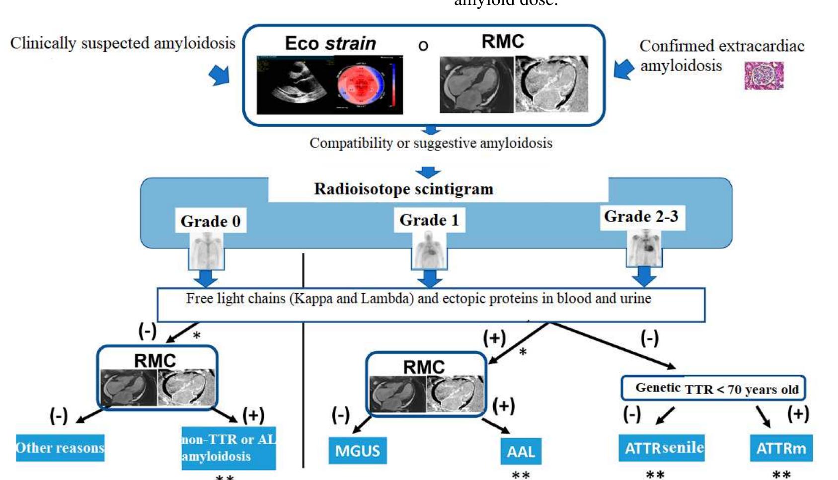 (PDF) Cardiac amyloidosis imaging