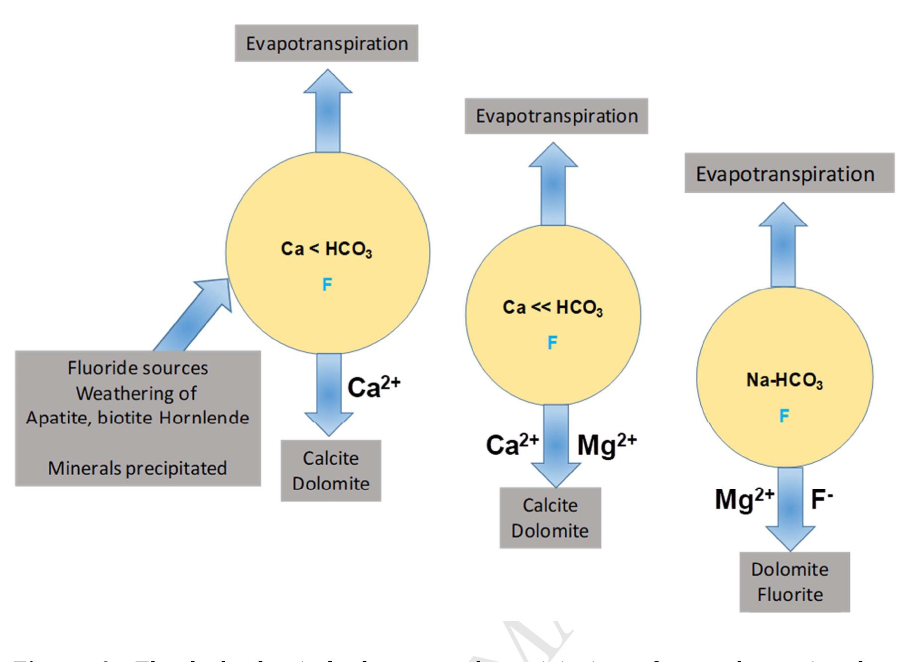 (PDF) Fluoride occurrence in groundwater systems at global scale and ...