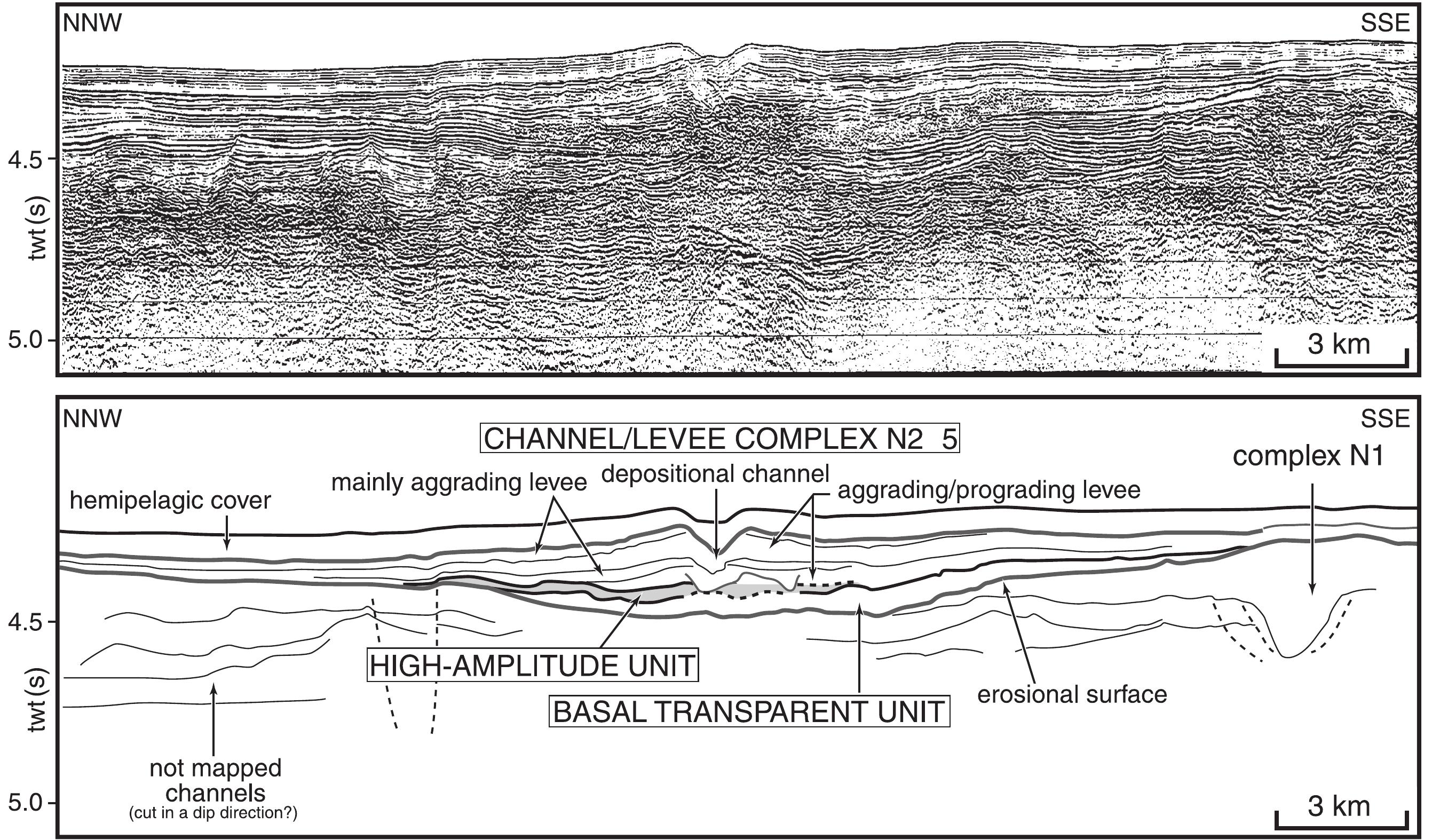 Channel Bar Complexes Seismic cross sections showing typical seismic units
