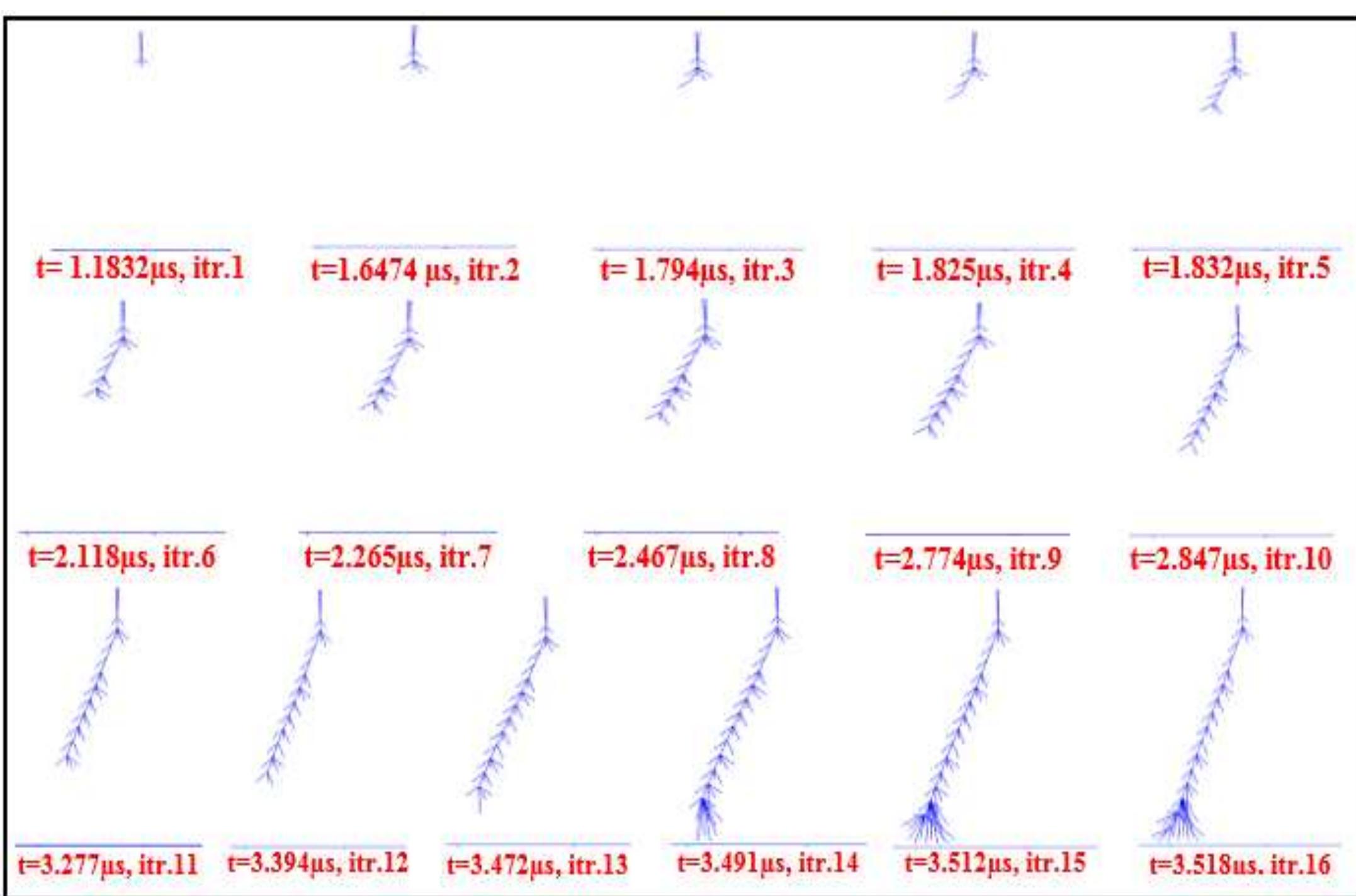 (PDF) Simulation Following for Initiation , Growth , and Branching of ...
