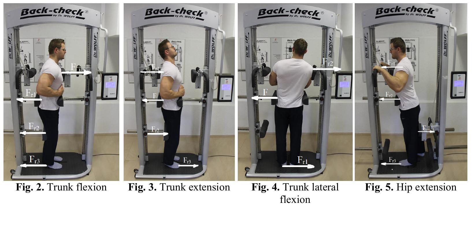 (PDF) The impact of different physiotherapy techniques on trunk ...
