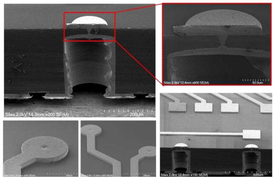 Sab Dicing Layout Figure 4 - from Recent Results Using Met-Via TSV Interposer