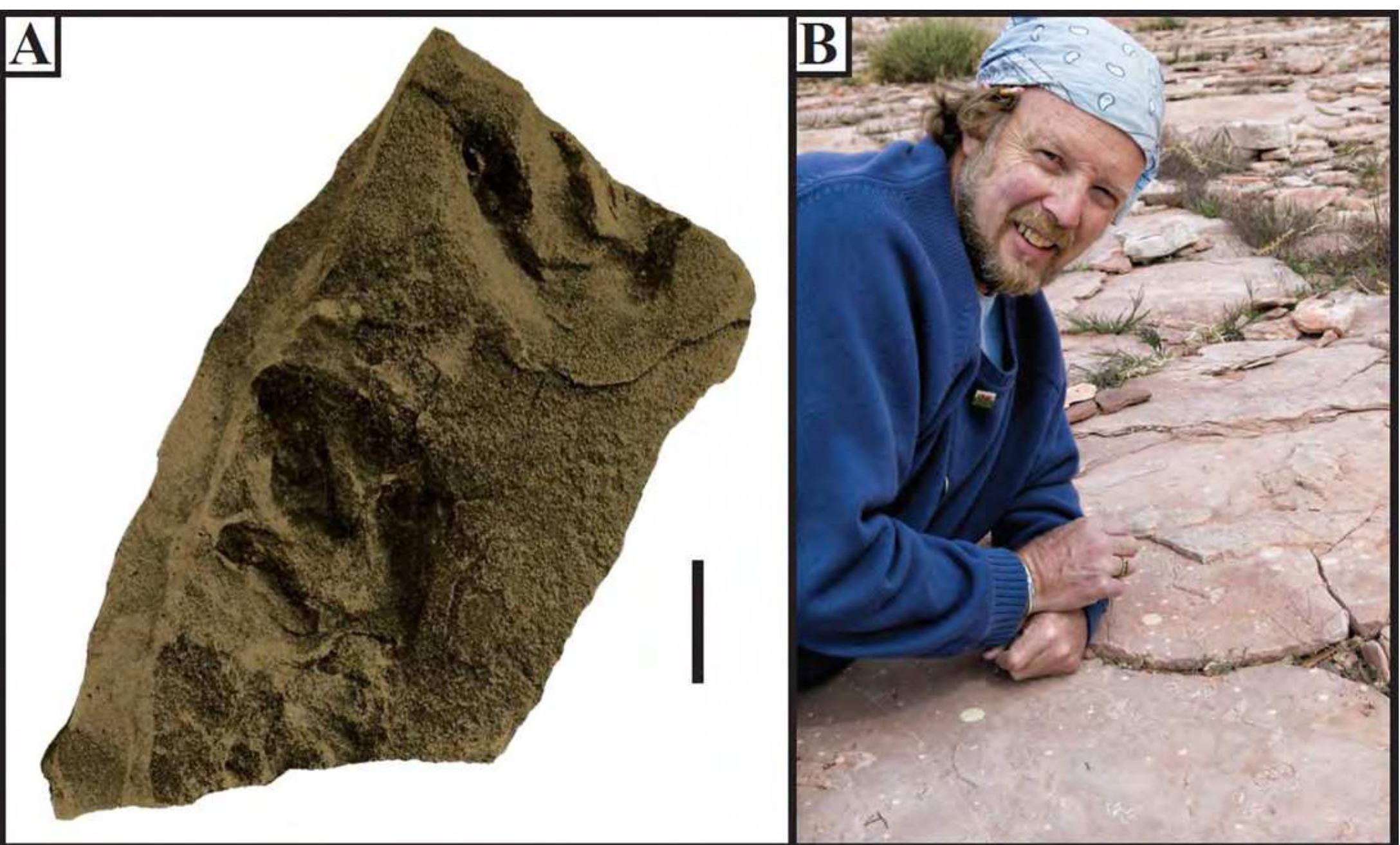 Figure 2 - from FOLLOWING IN THE FOOTSTEPS OF DR. MARTIN G.
