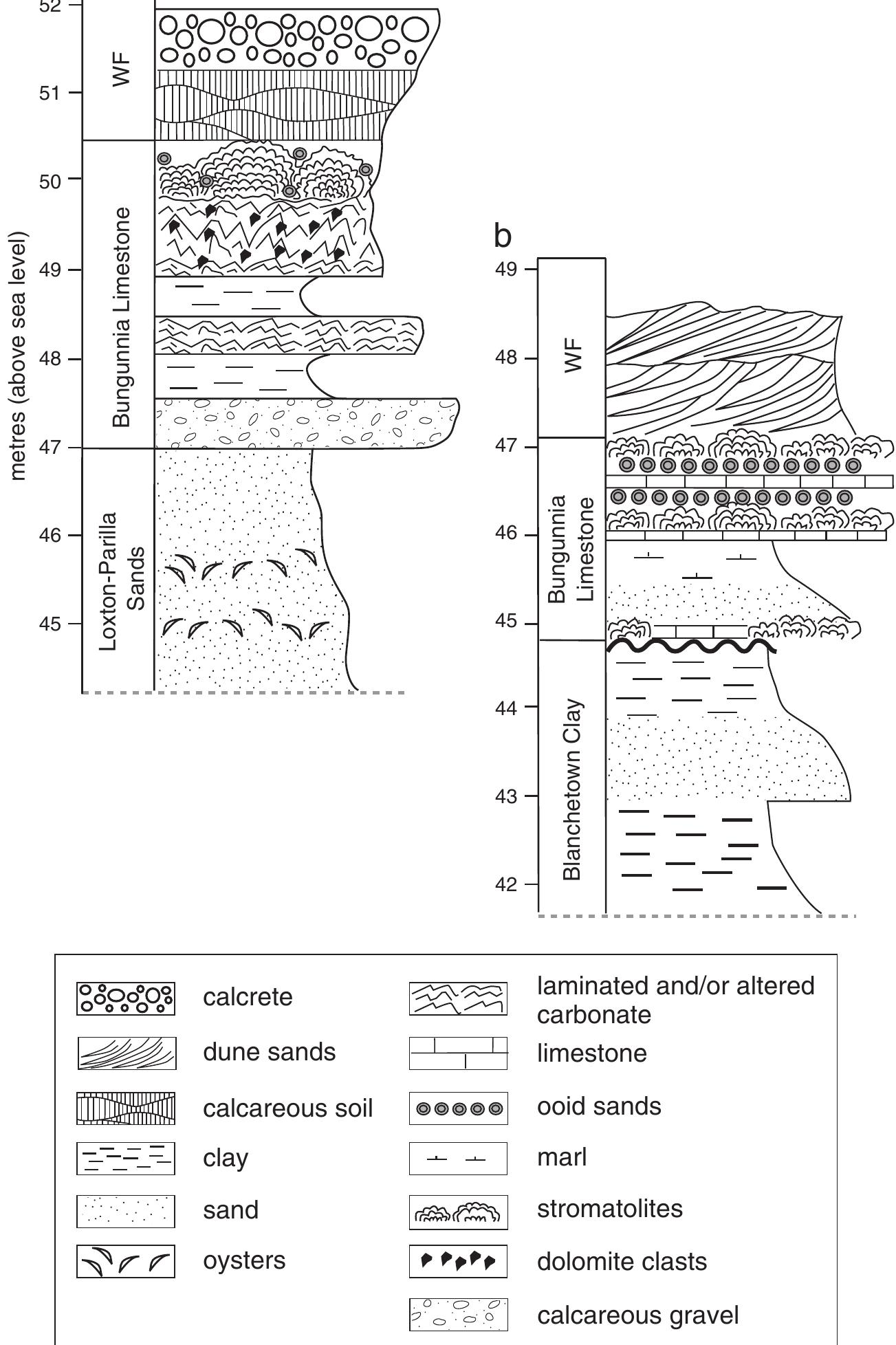 Stratigraphic and lithofacies summary of lake level 2