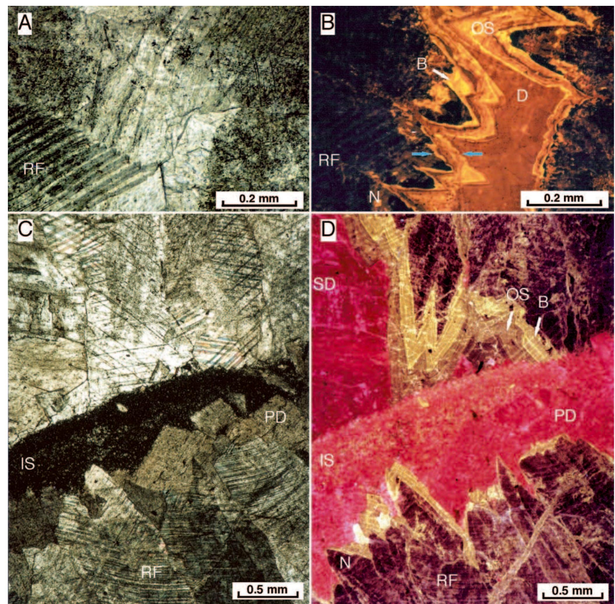 Figure 3 - from Zn-Pb mineralisation in the Silvermines