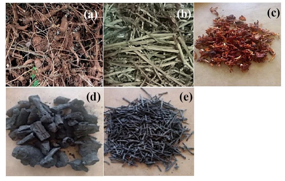 60 kg of Cassava rhizomes (NAROCASS 1) and 30 kg of groundnut stalks (Serenut 5R) were obtained from Namulonge (0°31'32.192” N; 32 ° 36’49.305” E), Wakiso district in Uganda. 20 kg of jackfruit wastes were obtained from Kalerwe market (0°21'3.94” N; 32 ° 34'19.965” E) in Kampala, Uganda. Figure 1 shows typical cassava rhizomes, groundnut stalks and jackfruit wastes that were used in this study. All the raw materials were manually sorted to remove all impurities. Before further processing the raw material, feedstocks were cut into 10 cm lengths to increase surface area for moisture evaporation. Cassava rhizomes, groundnut stalks and jackfruit waste were sun-dried for 5 days until the moisture con- tent of the feedstocks was less than 15%, which is the recommended moisture content of biomass for briquetting [43].  