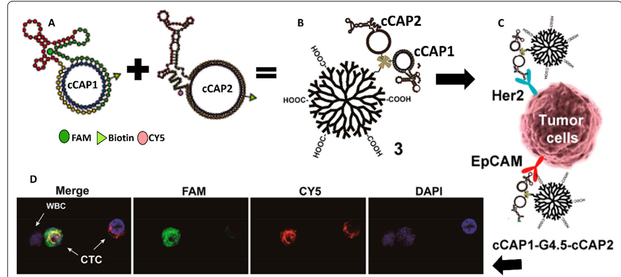 Figure 3 - from Tumor microenvironment complexity and