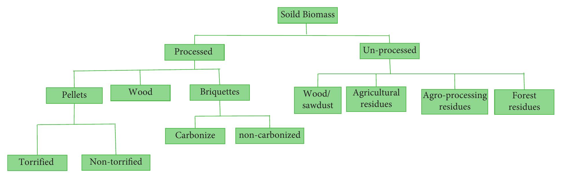 Ficure 2: Classification of solid biomass energy. 