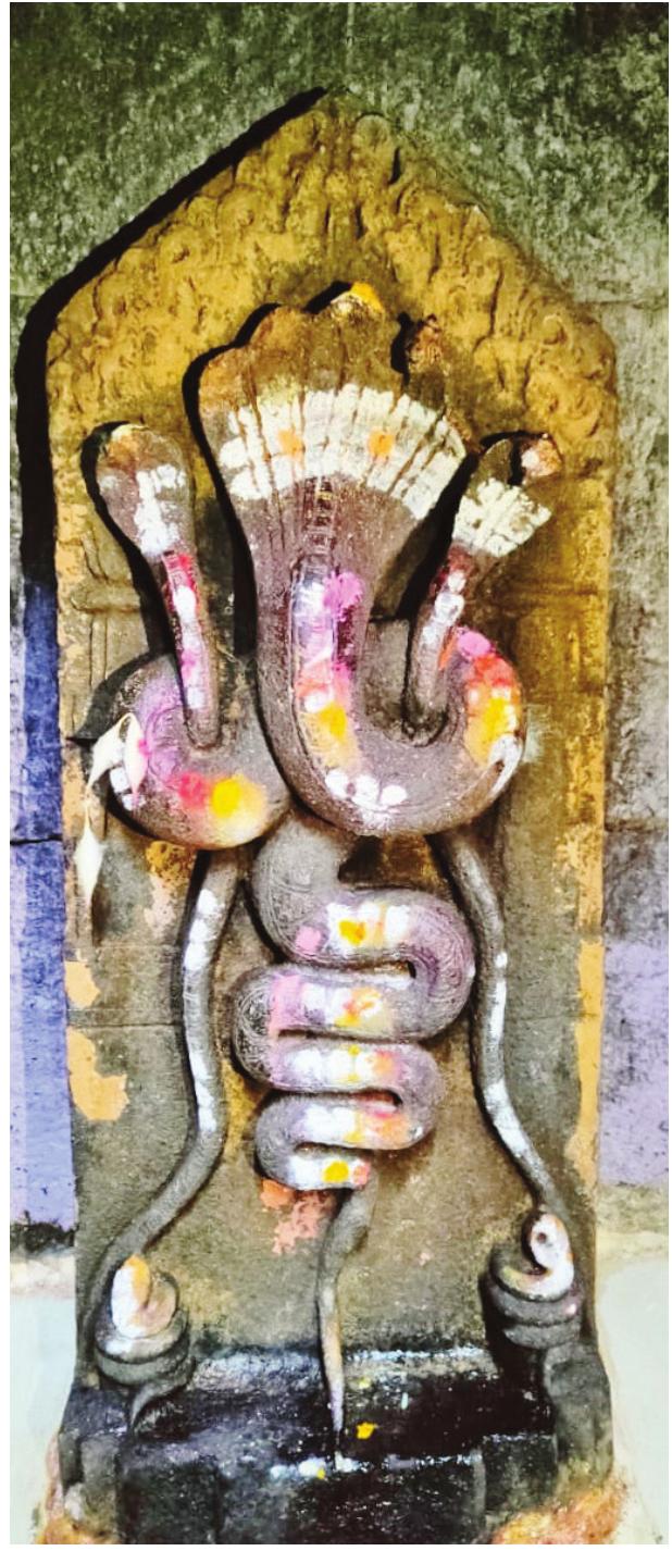 Fig. 8: Symbolic reprentation of Kundalini Yoga, Phaltan 