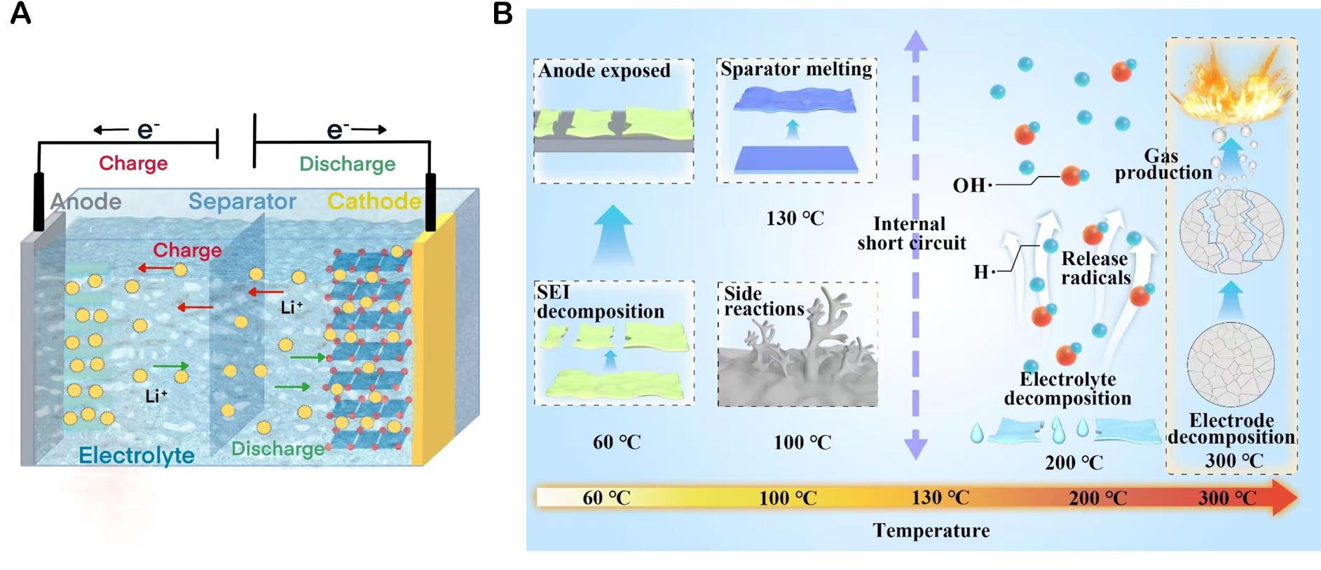 Schematic diagram of thermal runaway process of lmbs. (a)