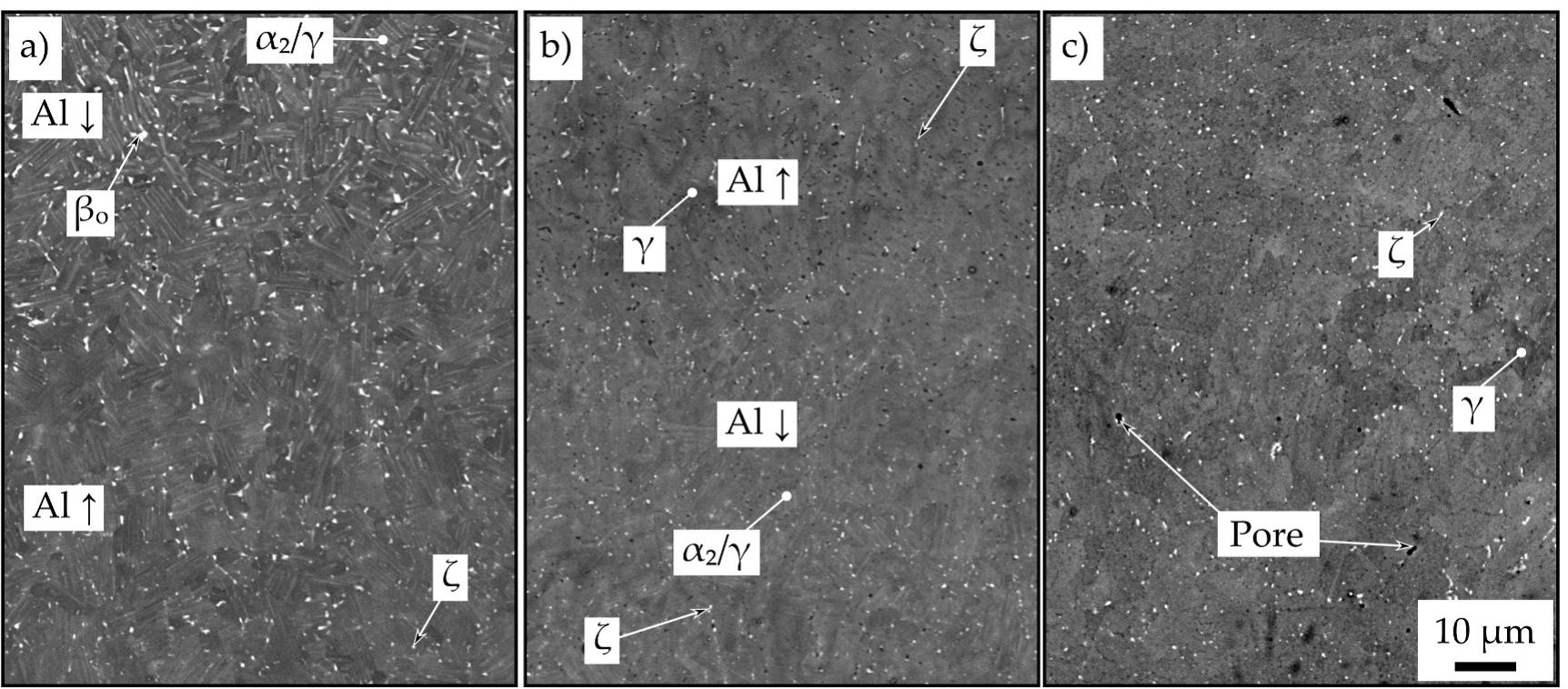 Sem micrographs showing the microstructure of the bmbf2