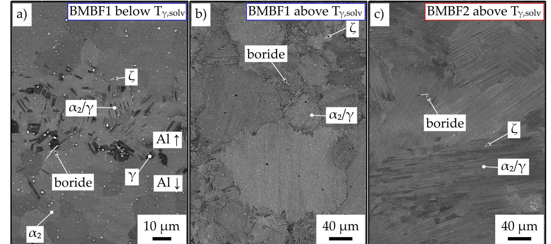 A) sem micrographs showing the microstructure of the bmbf1