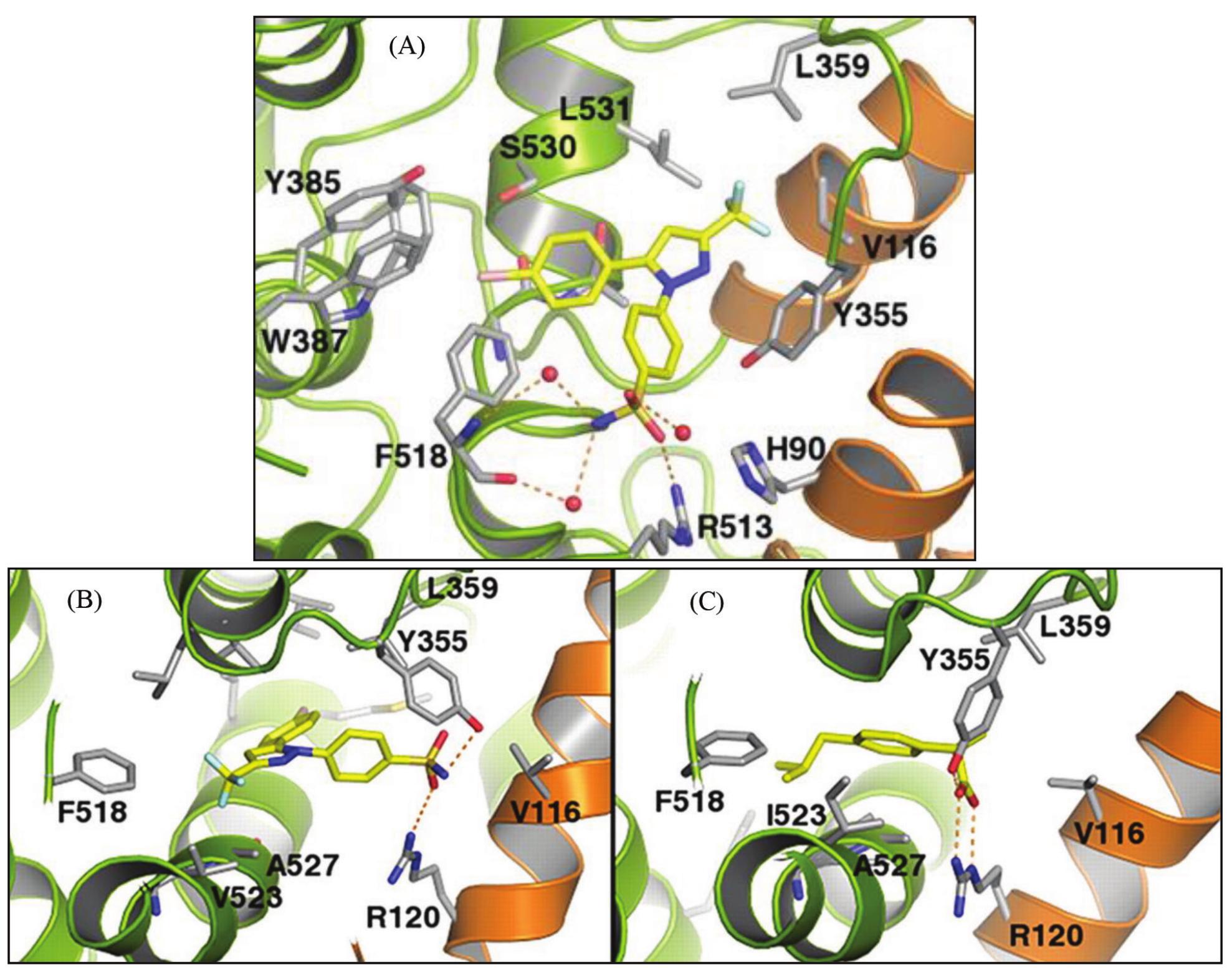 Figure 6 - from Molecular Basis of Binding Interactions of