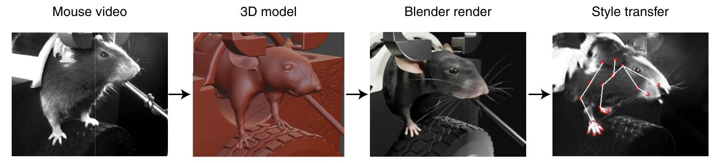 (PDF) There is no mouse: using a virtual mouse to generate training ...