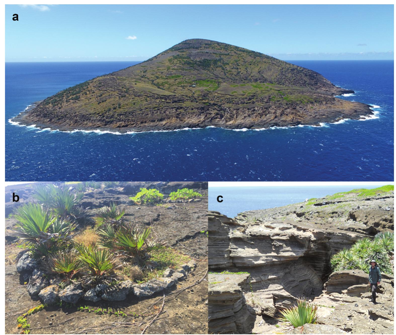 (PDF) Erosion studies on Mauritius: overview and research opportunities