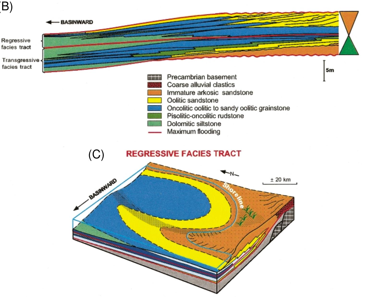 (PDF) Stratigraphic Control on Facies and Diagenesis of Dolomitized ...
