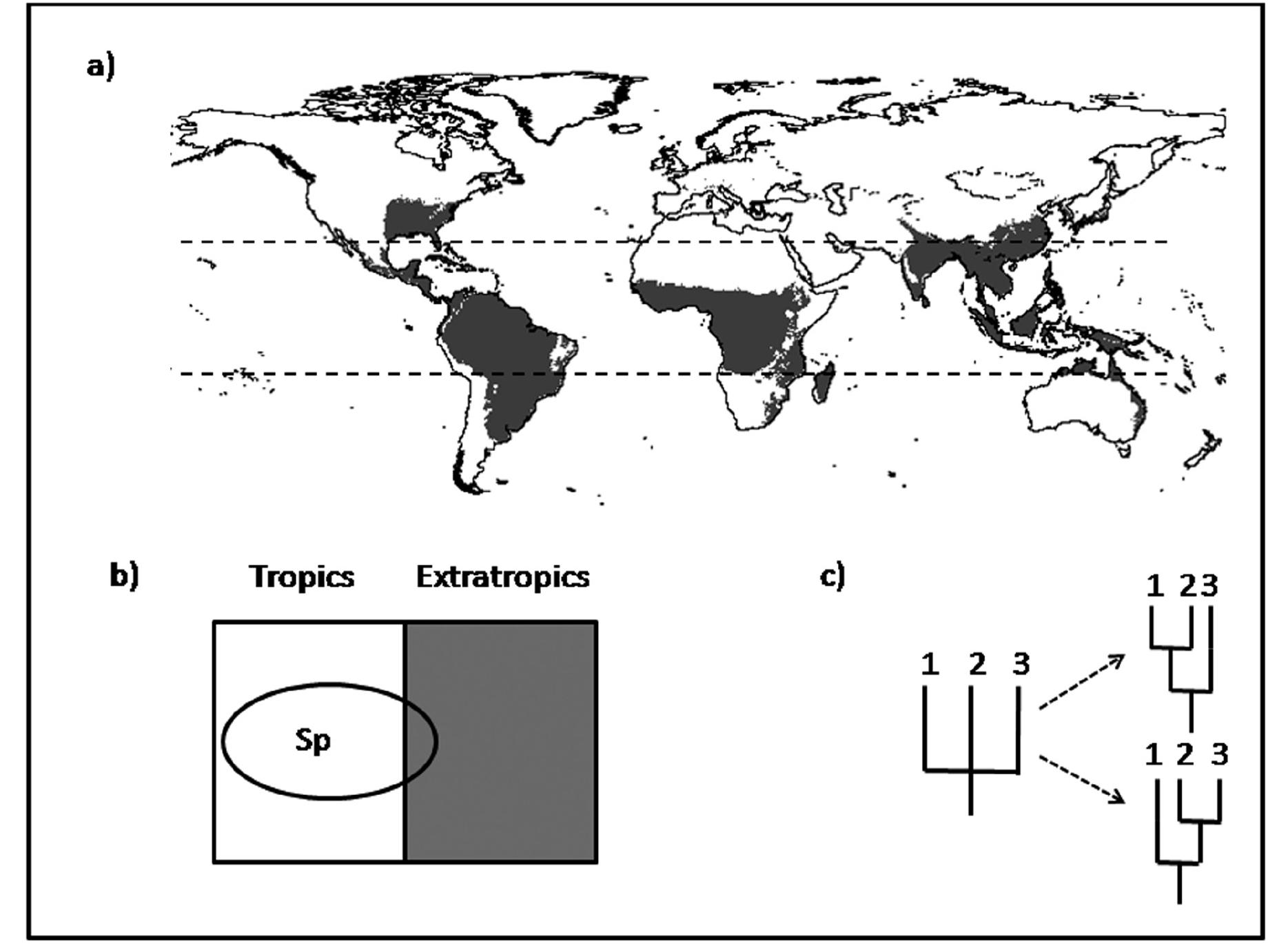 (PDF) Geographical diversification and the effect of model and data ...