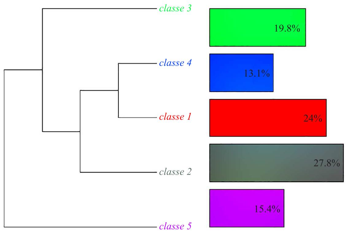 Figure 1 - from Fruit-Based Leathers: A Comprehensive Review