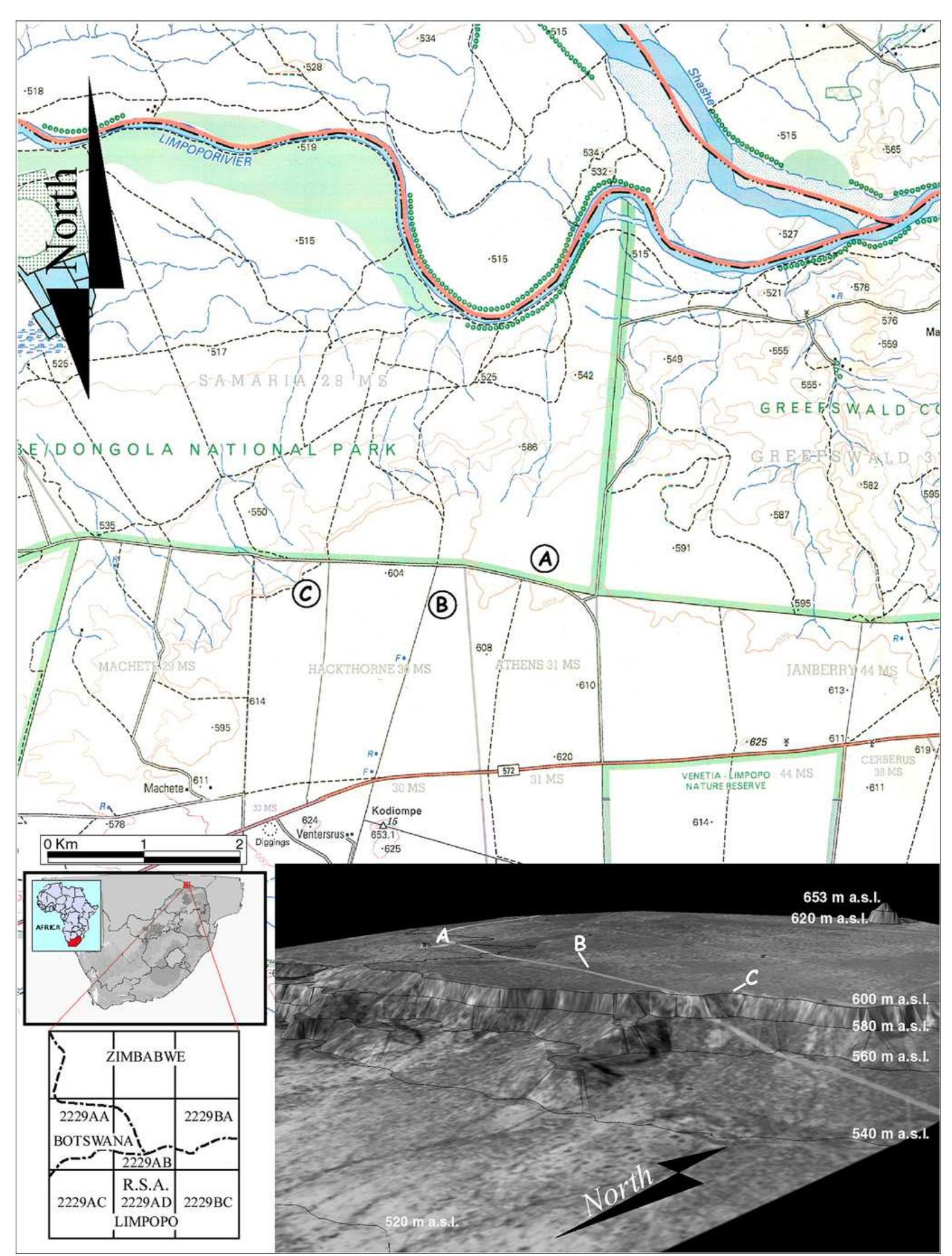 Fig. 1. Map of the study area immediately south of the Limpopo River showing the location of three sites mentioned in the text, Kudu Koppie (A), Keratic Koppie (B), and Hackthorne (C), and a 3D model of the escarpment.  Of the three sites, Kudu Koppie has yielded the most abundant lithic remains, as well as some bone, seeds, and refitting artefacts, all of which have been preserved within a stratified sequence. Detailed descriptions of the ESA and MSA assemblages are in preparation. The purpose of this paper is to document the strati- graphic context of the Kudu Koppie site.  The Kudu Koppie site (Site Number 2229AB415; 22°13’40.5”S 29°20'21.6” E; 604 m a.s.l.) is located in the northern Limpopo Province of South Africa, in a sub-desertic zone with steppic and dry savanna vegetation (Savannah biome) with <500 mm annual rainfall (Bromage and Schrenk, 1999). The vegetation of the area is a typically short, fairly dense growth of shrubby Mopane trees (Colophospermum mopane), and a somewhat sparse and tufted grassveld. The riparian fringe of the Limpopo is a dense vegeta- tion community with a closed canopy, which occurs in the rich alluvial deposits along the river, and limpopo floodplain has allowed for the growth of massive baobab trees (Adansonia digitata). 