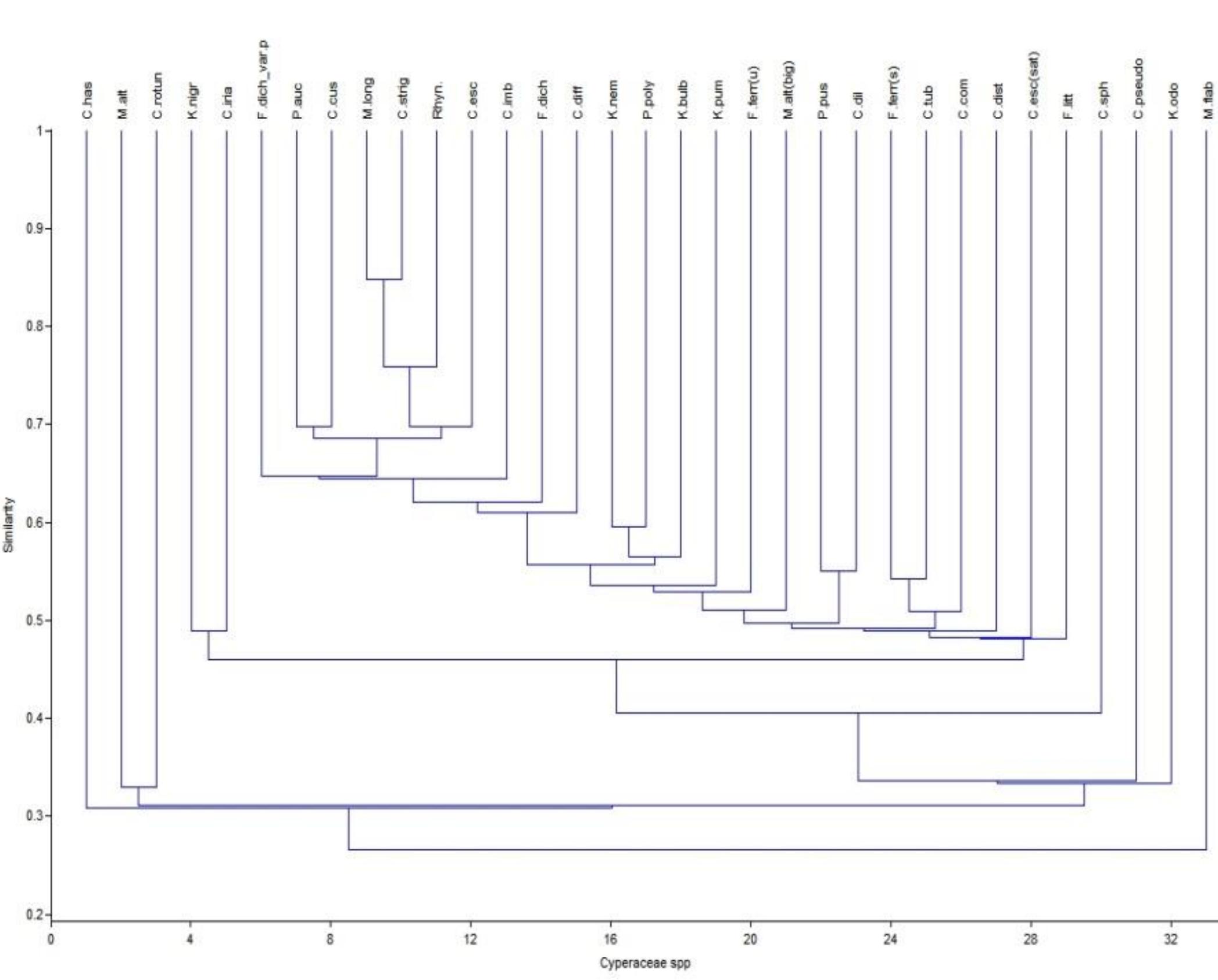 Dendrogram showing relationship among the members of