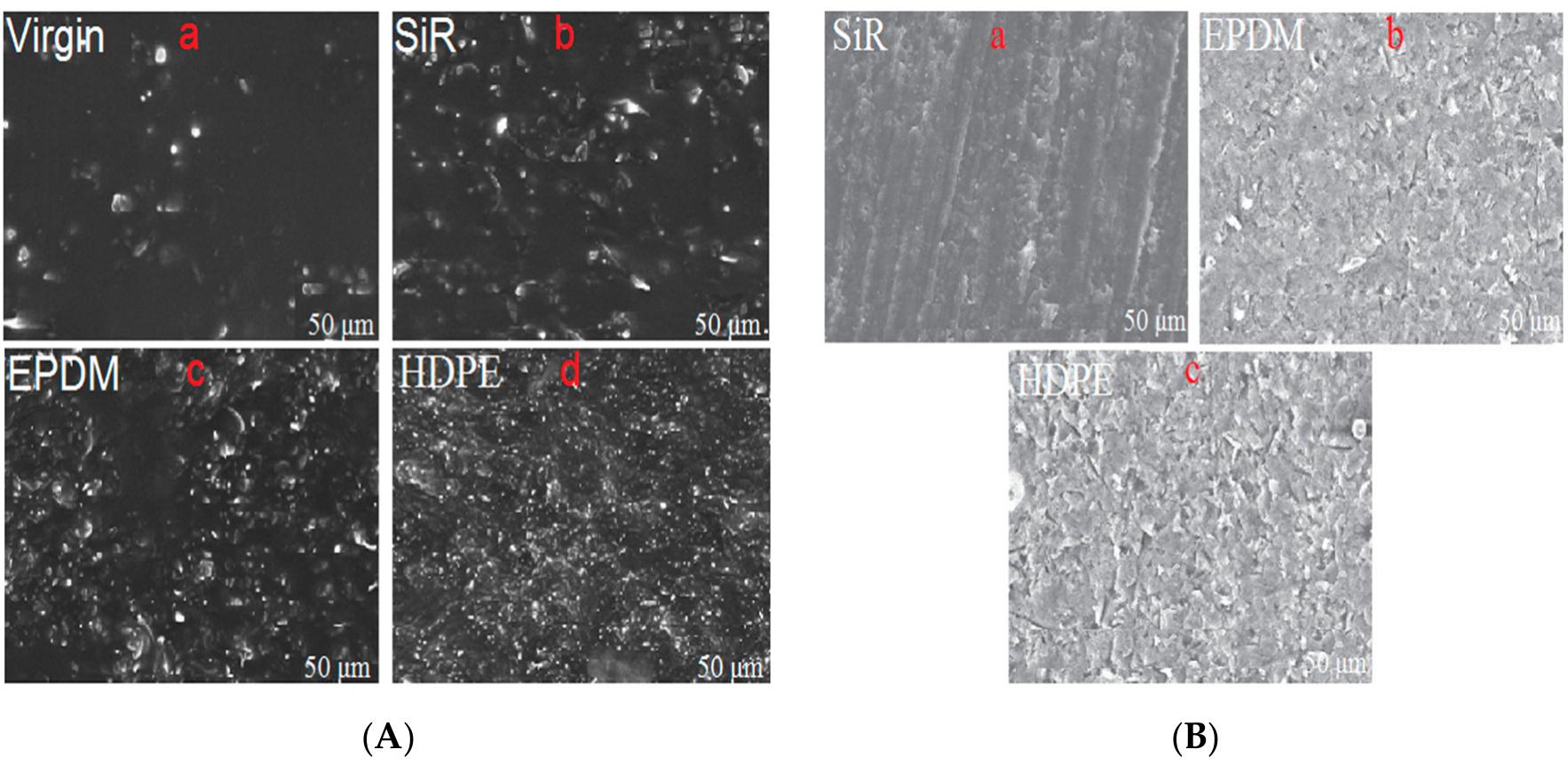 Sem picture of insulator surface: (a) surface aged in acidic