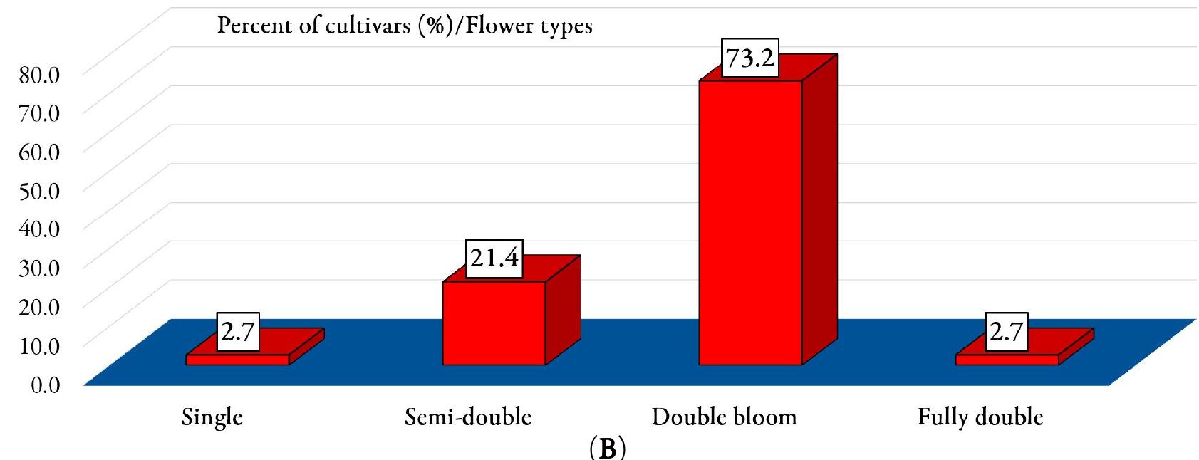 Rose Classification Figure 5 - from The use of genetic resources in rose