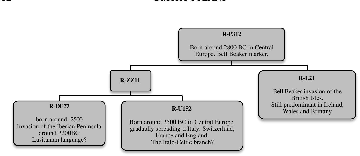 Gabriel Solans - Université Paris Cité