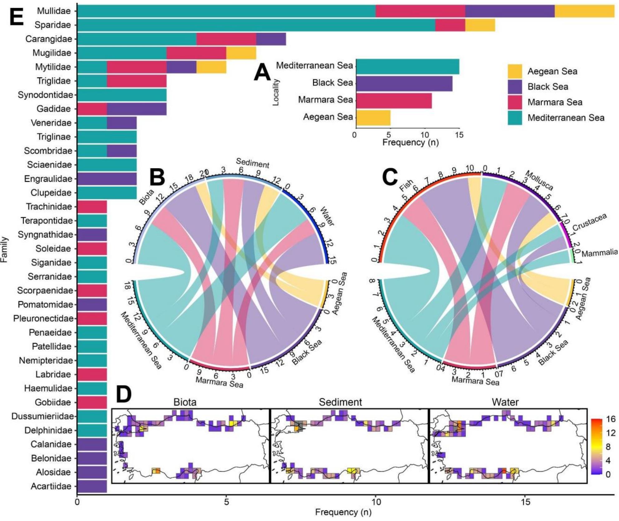 (PDF) Microplastic Pollution in Turkish Aquatic Ecosystems: Sources ...
