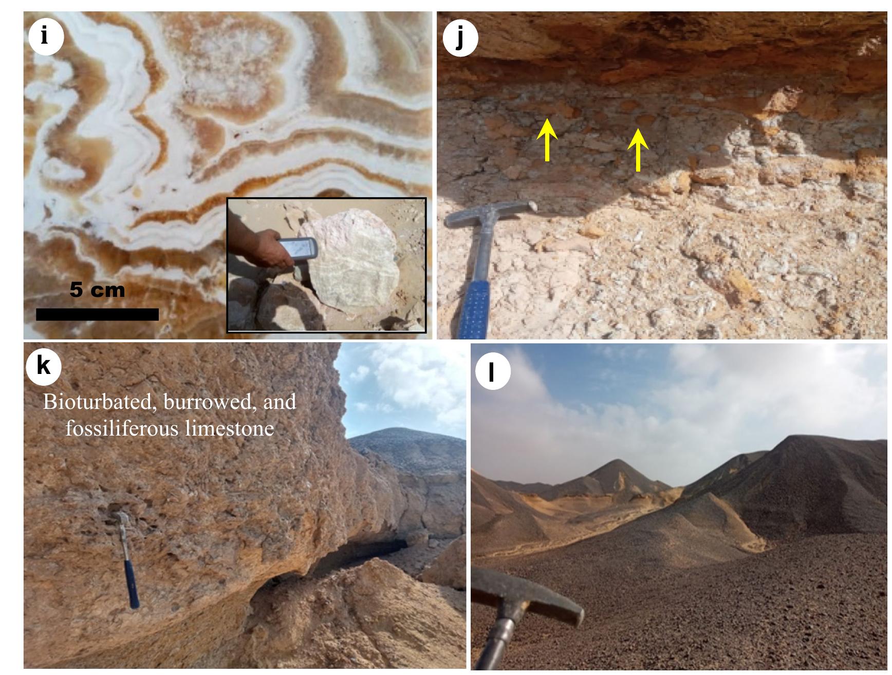 Oligocene Rocks (PDF) Lithostratigraphy, petrography, and geochemistry of the Eocene ...