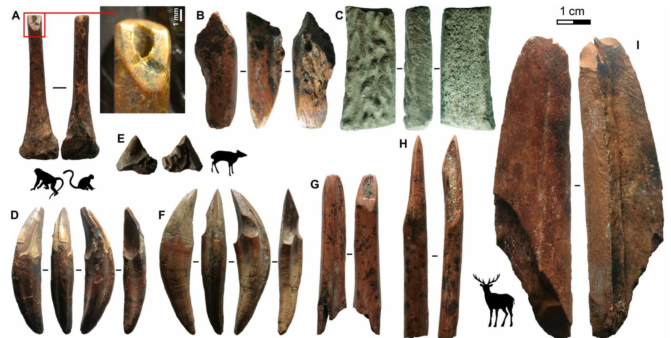 (PDF) Bows and arrows and complex symbolic displays 48,000 years ago in ...