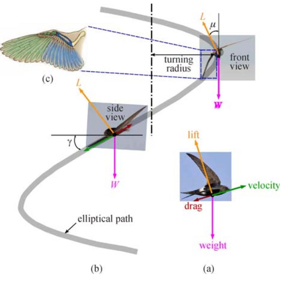 (PDF) Design concepts of an aircraft wing: composite and morphing ...