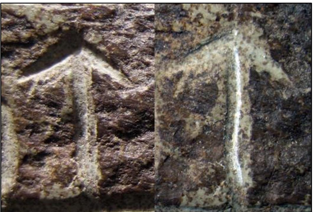 Perhaps the most exciting aspect of the Spirit Pond Inscription Stone was the numerous bars over eight different runes in the inscription. Dick Nielsen wanted me to pay special attentions to the bars, with th idea that the carver was using bars instead of dots for the sound variations we’d already seen on the Ukna grave slab. According to Dick, two the seven barred runes on the Spirit Pond Inscription Stone were  extremely rare, the dental “n” pct ¥)), and the barred R (Ry, If that barred [ Ry was in fact a substitution for the dotted R, that point alone proved the Spirit Pond inscriptions were medieval. There are eight basic futhork runes, fourteen in total, on the Spirit Pond Inscription Stone that have been marked by a horizontal line over the rune. They appear to represent the class dotted p [P] for the [?] -  rune, the dotted [P] for the g-rune, a dotted unilateral [t] for the “dental” n-rune, the dotted [t] for the e-rune, the t [?] {shown reversed }denoting a d-rune, the [p. 75] dotted [B] for the p-rune and a dotted r (Ry  for the R-rune. Seven of these dotted runes appear on the Unka grave (Sm 145) from Smaland, Sweden. In addition, there are seven pA) that appear to be synonymous with the [A] rune on the Kensington  heise tA 