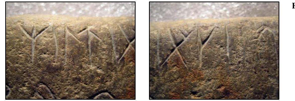 Six of the pictographs (deer, duck, eel (turkey), fish, and two unknown plants) represent food resources. The bow and arrow represent the function of hunting for survival. The canoe is transportation. The Native American face represents the inhabitants of the lower Kennebec (Sagadahoc River) region. The Arced X (40) and pentadic (tallymark) identifies (via geographic coordinates) where these resources could be found.  51x of the pictographs (deer, duck, eel (turkey), fish, and two unknown plants) represent food resources. [he bow and arrow represent the function of hunting for survival. Ihe canoe nsportation. The Native American face represents the inhabitants of the lower Kennebec (Sagadahoc River) region. The Arced X (40) and pentadic (tallymark) identifies (via geograpl ordinates) where these resources could be found.  Not all food resources lend themselves well for illustration via pictographs inscribed on a stone. For example, fish eggs/roe and spleens are difficult to convey due to their small size. is is why Carver #1 inscribed the compound word miltiaki on the reverse side. The stems, milti and aki (eki is an analogous spelling) are found in ON. Compounded, they represent f gs/spleen — a food resource that was not going to be discarded.  Not all food resources lend themselves well for illustration via pictographs inscribed on a stone. For example, fish eggs/roe and spleens are difficult to convey due to their smal This is why Carver #1 inscribed the compound word miltiaki on the reverse side. The stems, milti and aki (eki is an analogous spelling) are found in ON. Compounded, they repre eggs/spleen — a food resource that was not going to be discarded. 