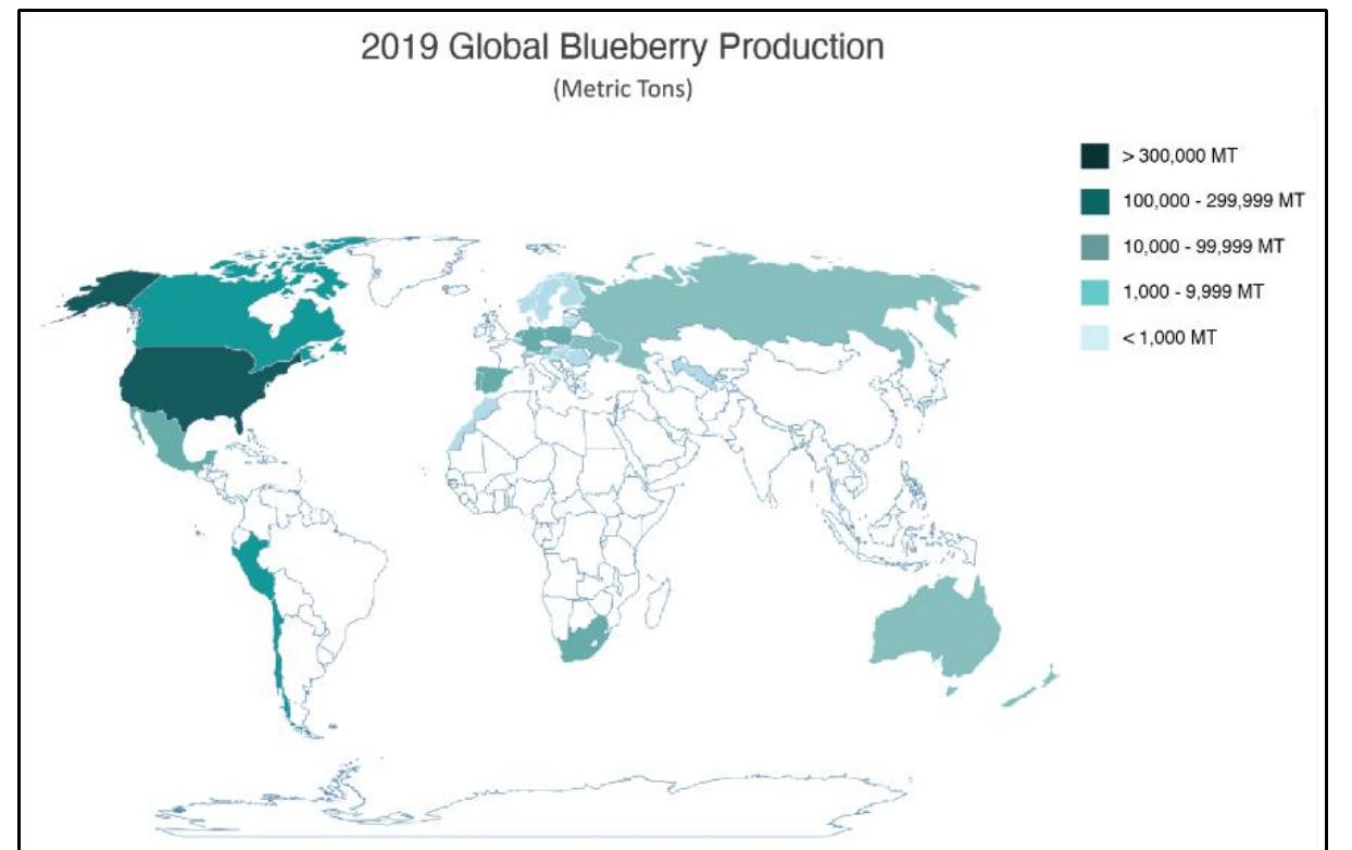 The ON terms referencing wine (vinber and berjavin) are spelled with only one n. Thus, Vinland is (Wineland). Conversely, vinnant with the two n’s is (Pastureland). Respective 1e Spirit Pond Map Stone (SP1), vinnant denotes the salt hay grazing land in the front of the hdép (the double-vowel hoop on the Map Stone).  The second part of the compounded word vinnant is ant, a reduction of the full Latin word of ante. Ante can be used both in a prefixing, or suffixing, position. The term means defore, or in front of’. Vinnant on the Map Stone (SP1) means ‘the grazing land in front of’ the upland.  Portolan charts of the late 14" and early 15" centuries began to illustrate islands out in the middle of the Atlantic Ocean. Many of these islands represented regions of North Ameri he cartographers placed the islands representing North America in a proxy-longitude position, stacking them along a fixed line of longitude that also contained the real islands of the .zores archipelago. This convention was used to hide the fact that a large continent was sitting off to the west of Europe across the Atlantic Ocean. The following maps are a limited si f surviving cartographic works which illustrated the islands of Satanazes and Antylia: 
